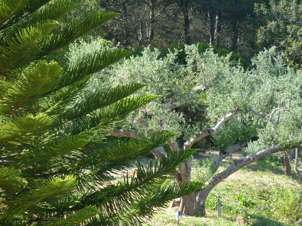 Casal Das Oliveiras Casa de hóspedes Setúbal Exterior foto