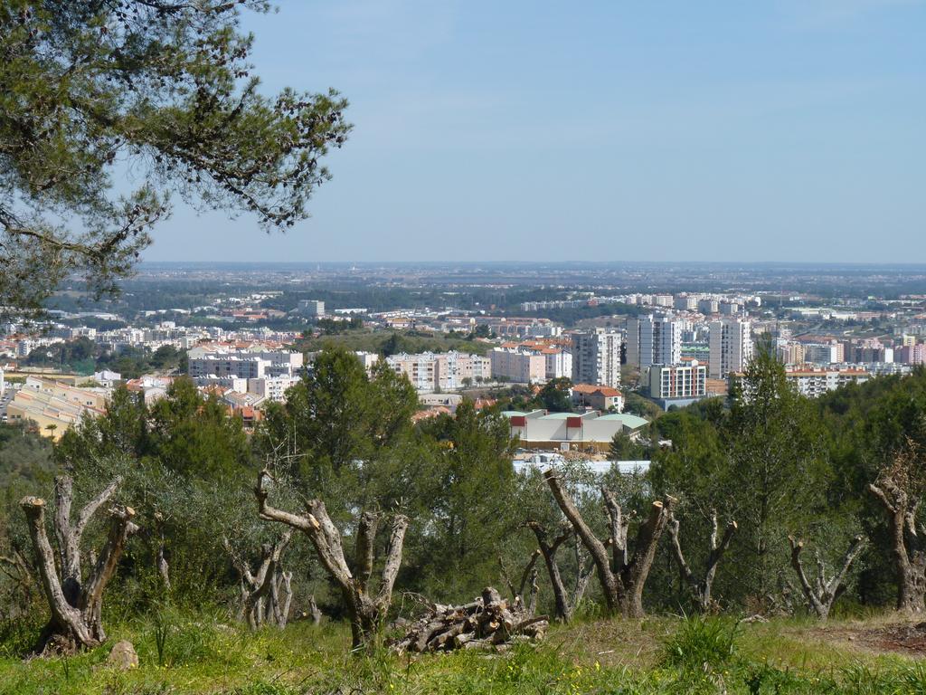 Casal Das Oliveiras Casa de hóspedes Setúbal Exterior foto